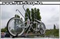 DSC_0223.JPG